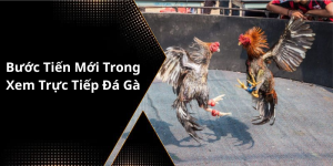Bước Tiến Mới Trong Xem Trực Tiếp Đá Gà