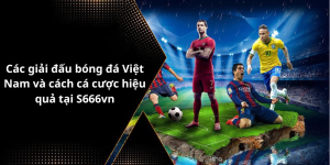 Các giải đấu bóng đá Việt Nam và cách cá cược hiệu quả tại S666vn