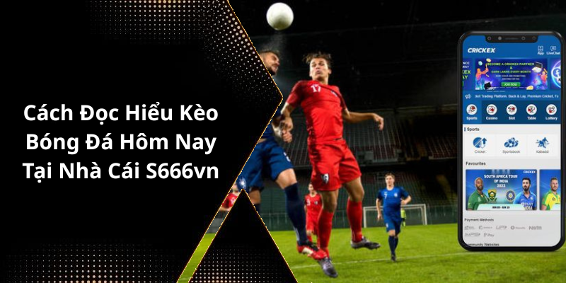 Cách Đọc Hiểu Kèo Bóng Đá Hôm Nay Tại Nhà Cái S666vn