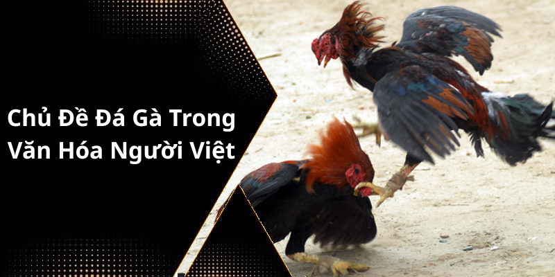 Chủ Đề Đá Gà Trong Văn Hóa Người Việt