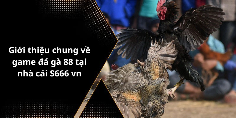 Giới thiệu chung về game đá gà 88 tại nhà cái S666 vn