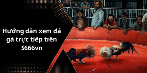 Hướng dẫn xem đá gà trực tiếp trên S666vn