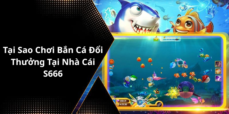Tại Sao Chơi Bắn Cá Đổi Thưởng Tại Nhà Cái S666 vn