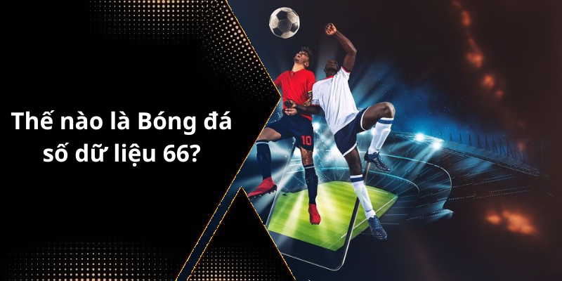 Thế nào là Bóng đá số dữ liệu 66