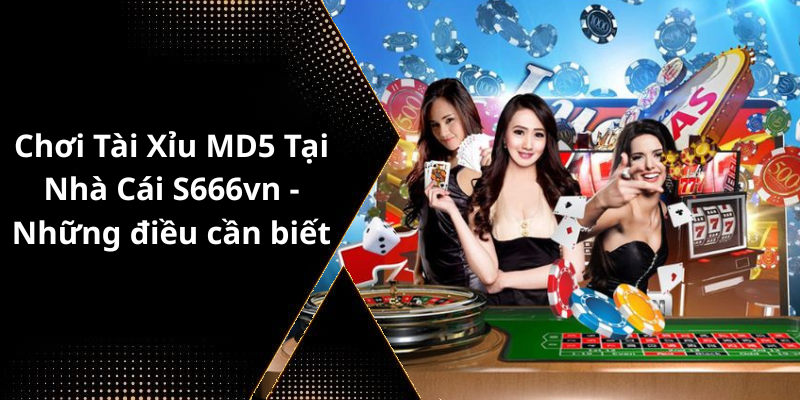 Chơi Tài Xỉu MD5 Tại Nhà Cái S666vn - Những điều cần biết