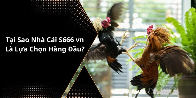 Tại Sao Nhà Cái S666 vn Là Lựa Chọn Hàng Đầu