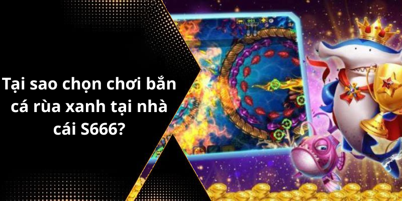 Tại sao chọn chơi bắn cá rùa xanh tại nhà cái S666