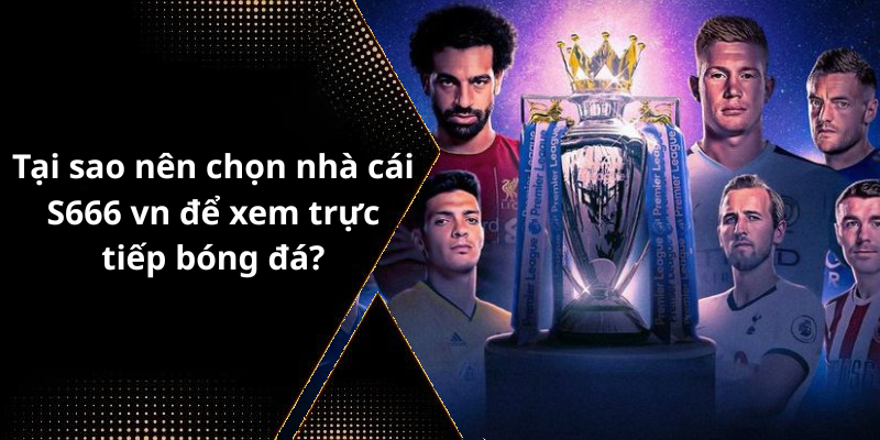 Tại sao nên chọn nhà cái S666 vn để xem trực tiếp bóng đá