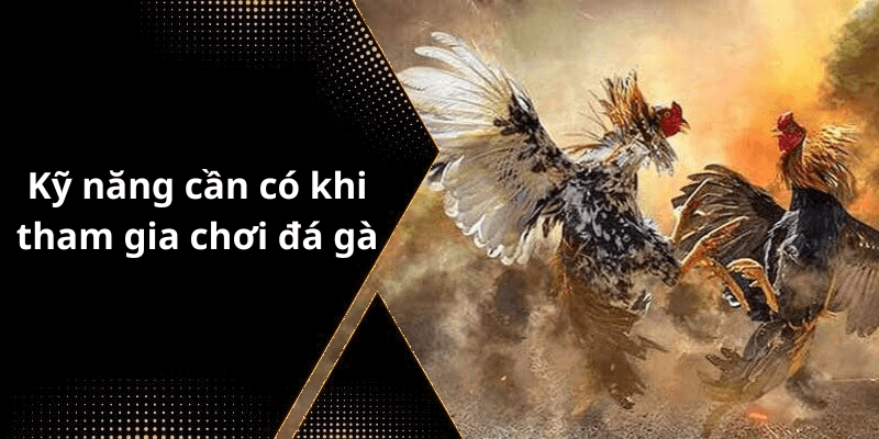Kỹ năng cần có khi tham gia chơi đá gà
