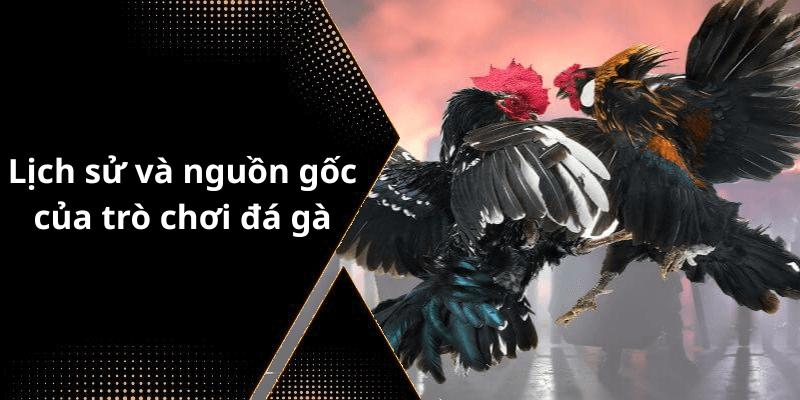 Lịch sử và nguồn gốc của trò chơi đá gà
